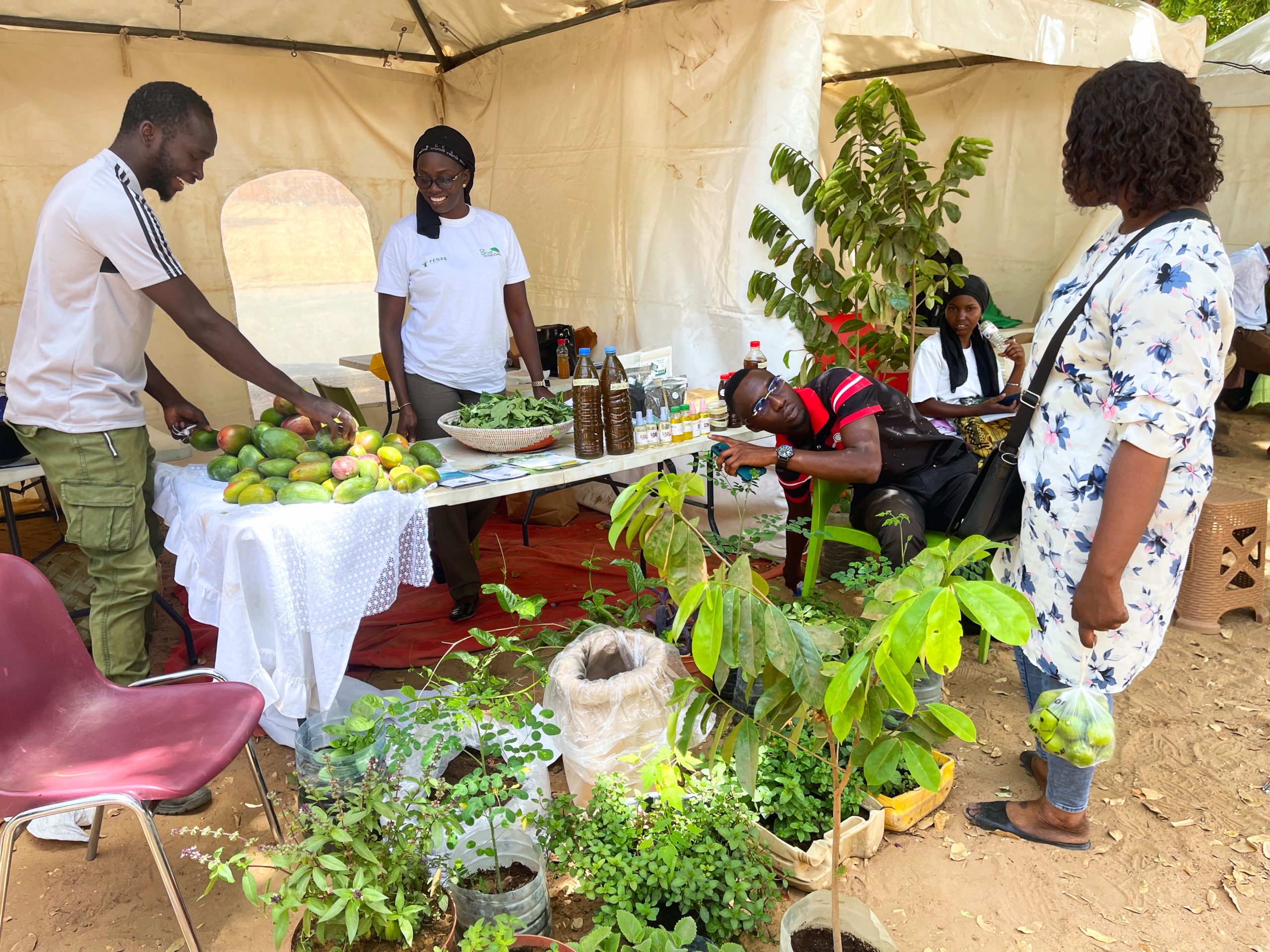 Publireportage sur le SPG (Système Participatif de Garantie) de la FENAB - Version WOLOF